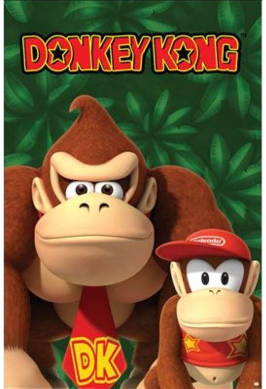 Nintendo: Donkey Kong and Diddy Kong