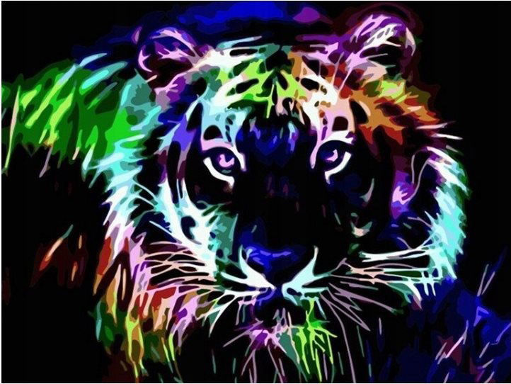 Norimpex Neónový tiger 30 × 40 cm