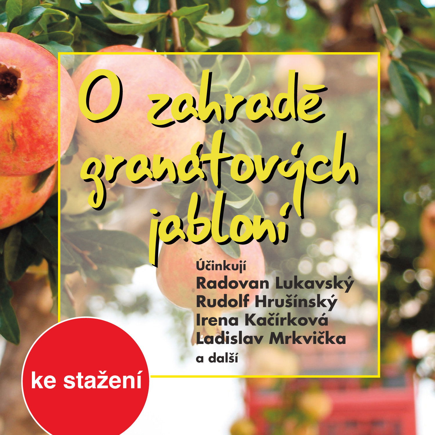 O zahradě granátových jabloní