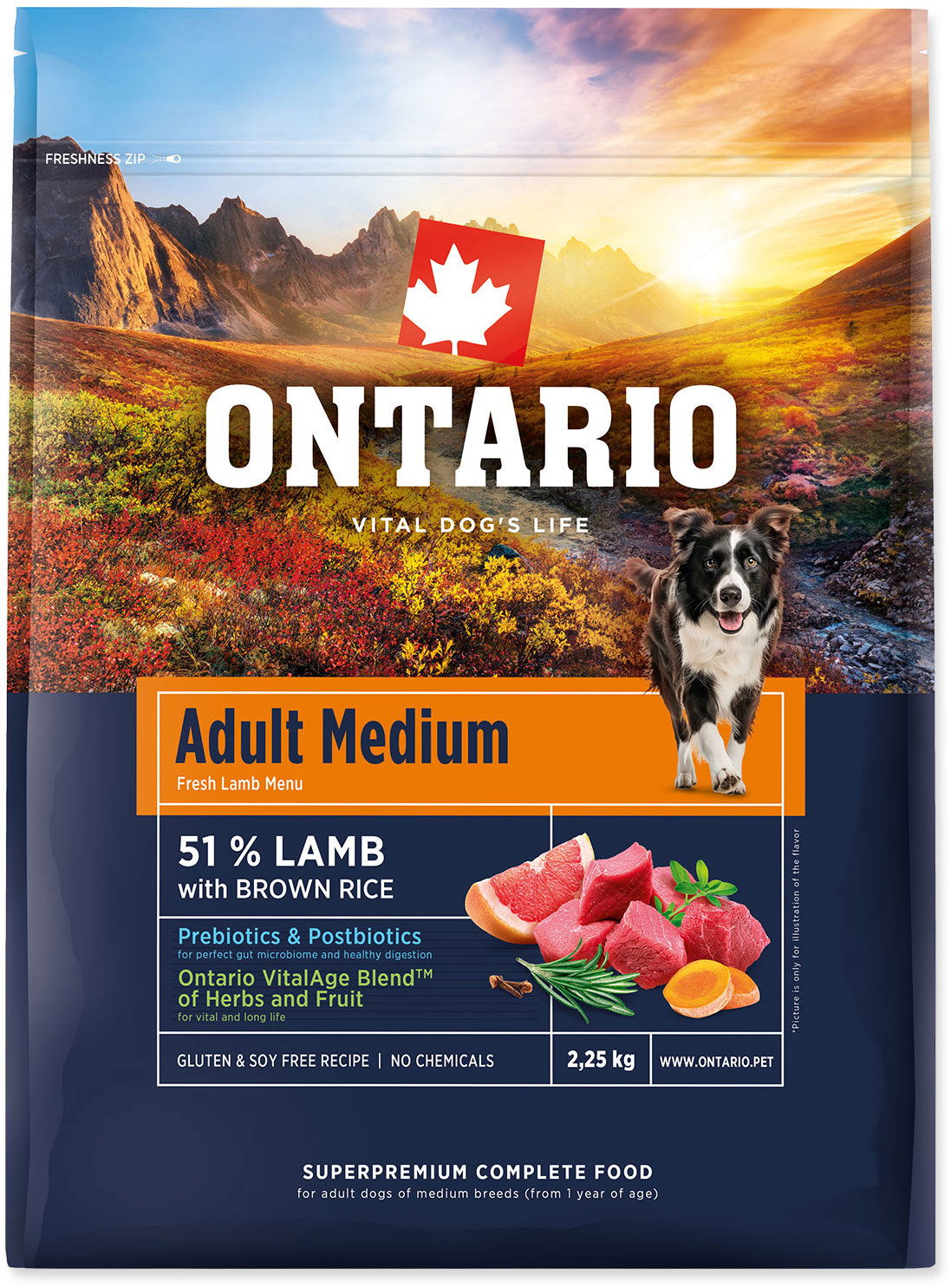 Ontario Adult Medium Lamb & Brown Rice 2,25 kg