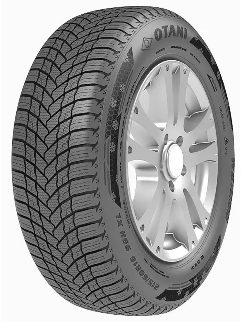 Otani WE1000 205/65 R15 94H