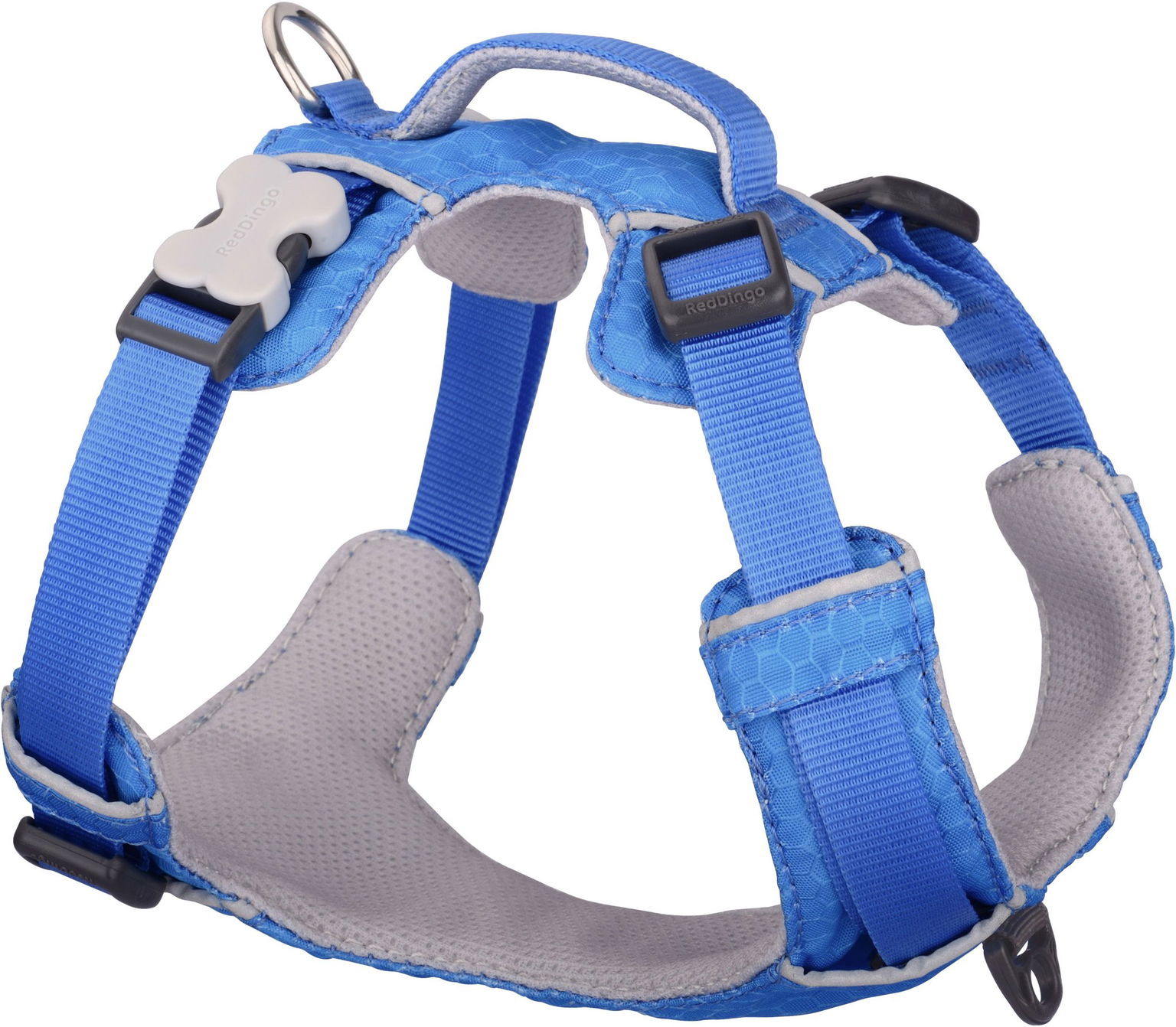 Red Dingo postroj Sport Electric Blue 25 mm × 75 – 112 cm