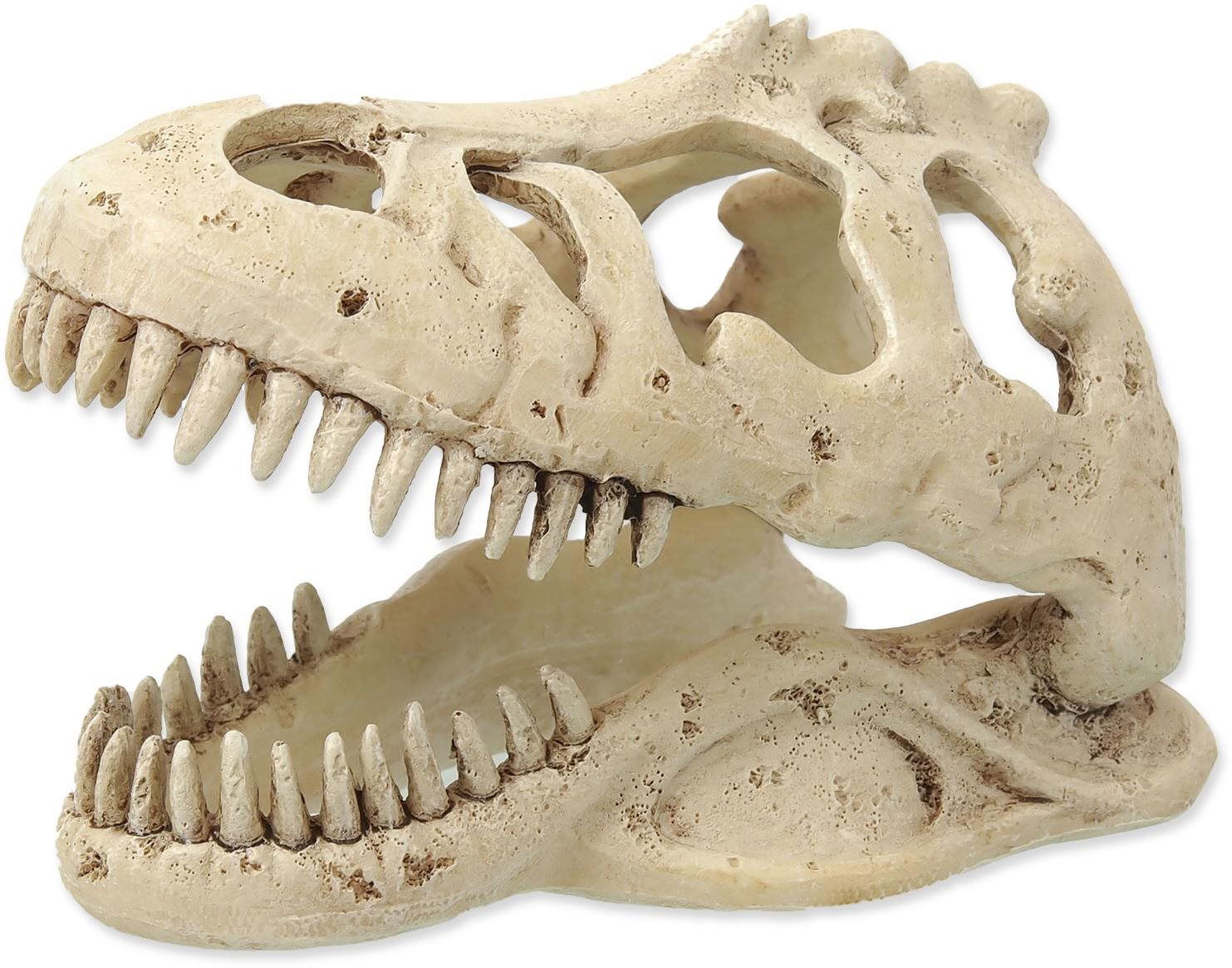 Repti Planet Dekorácia T-REX lebka 13,3 × 8,5 × 9 cm