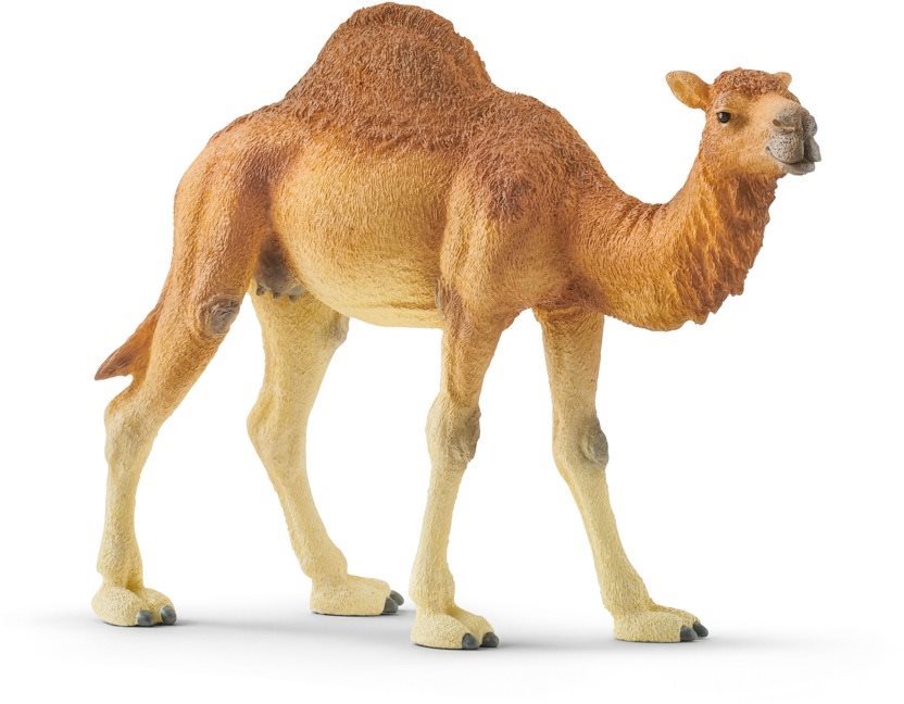 Schleich 14832 Dromedár