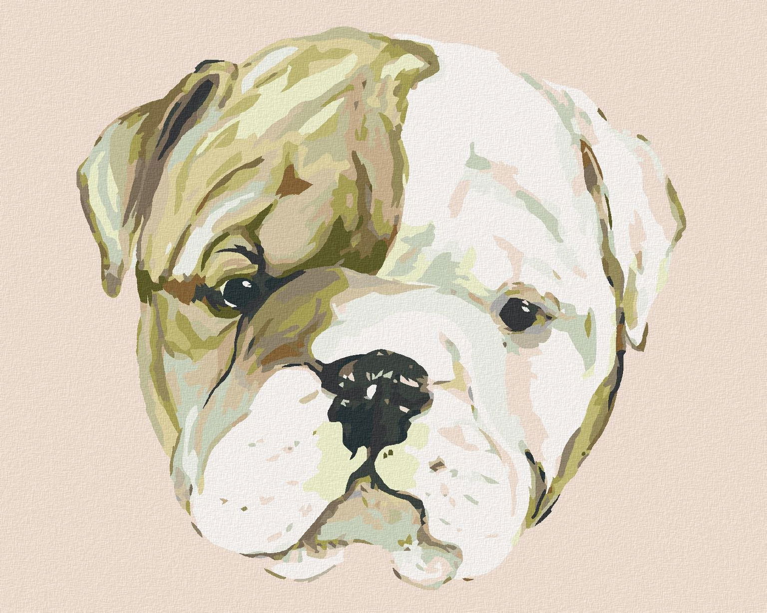 Šteniatko bulldoga (Haley Bush), 80 × 100 cm, plátno napnuté na rám