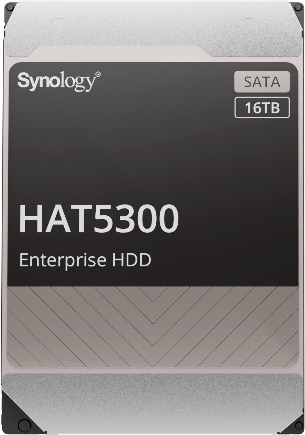 Synology HAT5300-16T