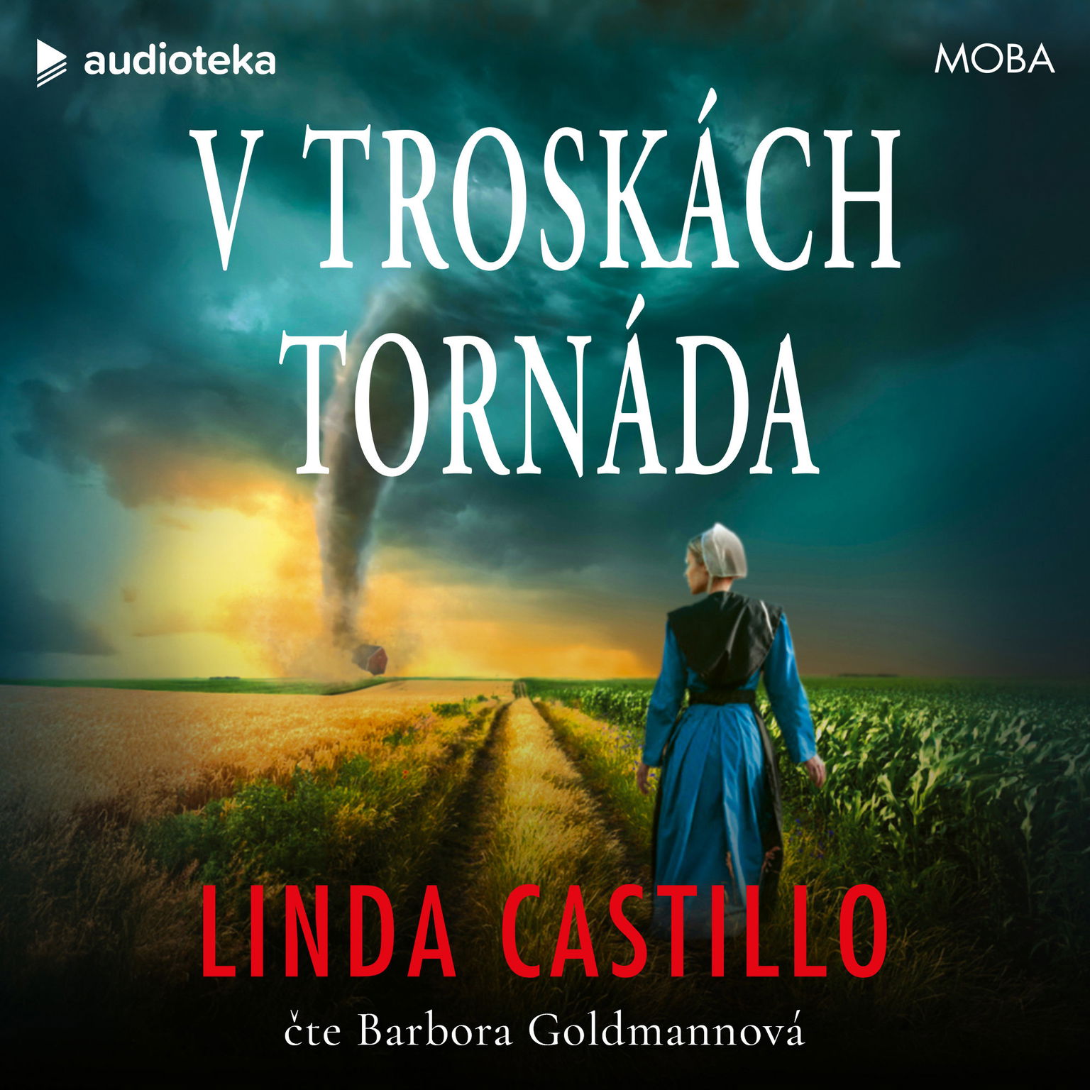 V troskách tornáda