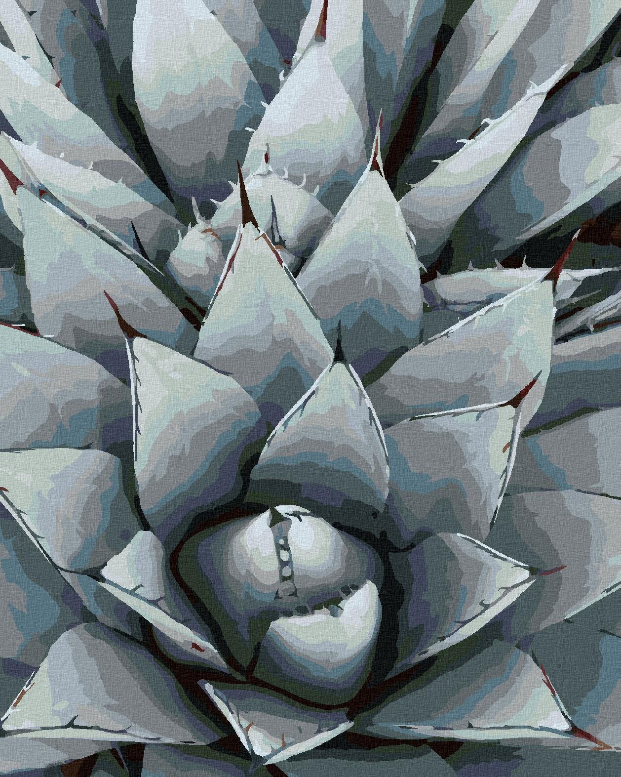 Zuty – Maľovanie Podľa Čísel – Kaktus Agáve, 40 × 50 cm, Plátno + Rám