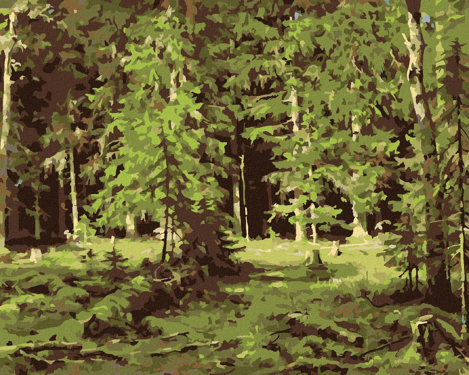 Zuty – Maľovanie Podľa Čísel – Les (Ivan Shishkin), 40 × 50 cm, Plátno + Rám