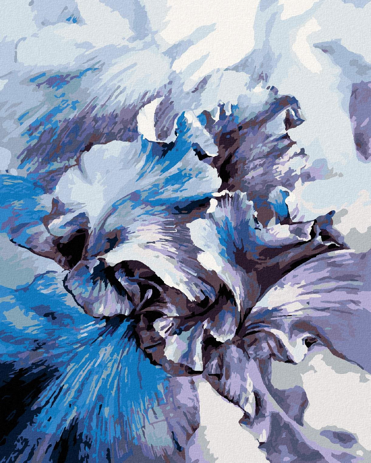 Zuty – Maľovanie Podľa Čísel – Modré Kosatce, 40 × 50 cm, Plátno