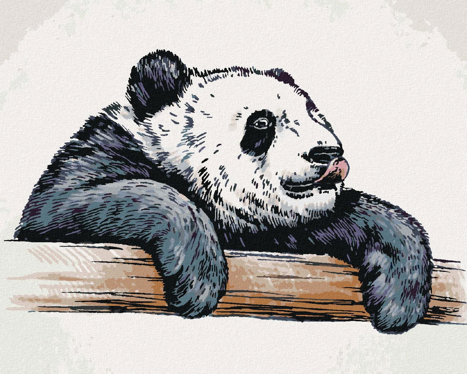 Zuty – Maľovanie Podľa Čísel – Olizujúca Sa Panda, 80 × 100 cm, Plátno + Rám