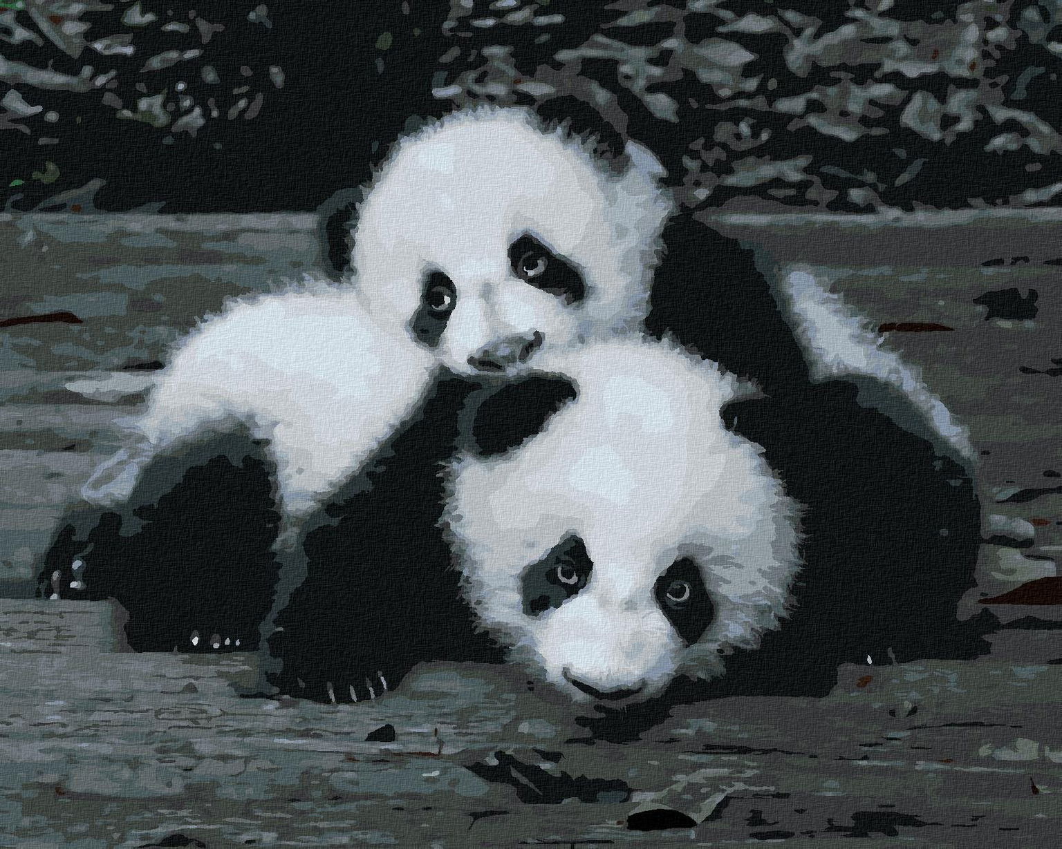 Zuty – Maľovanie Podľa Čísel – Pandy V Zoo, 40 × 50 cm, Plátno + Rám