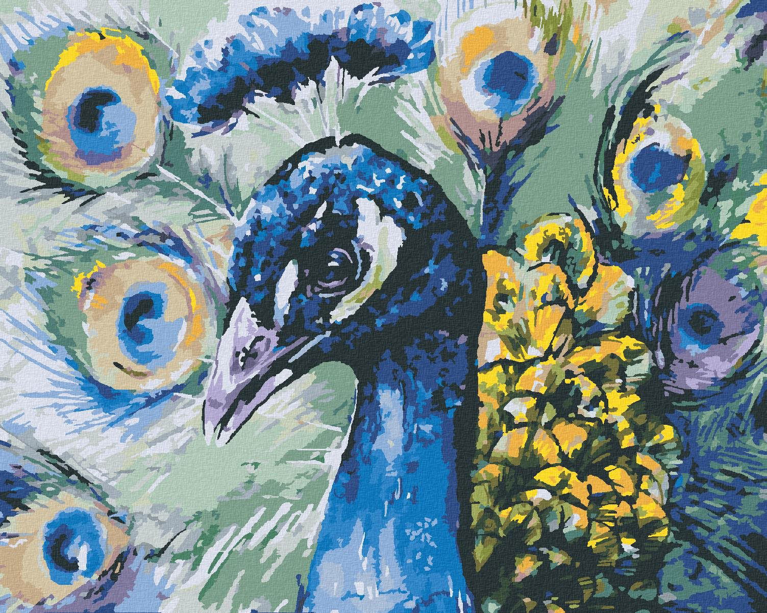 Zuty – Maľovanie Podľa Čísel – Páv, 40 × 50 cm, Plátno + Rám