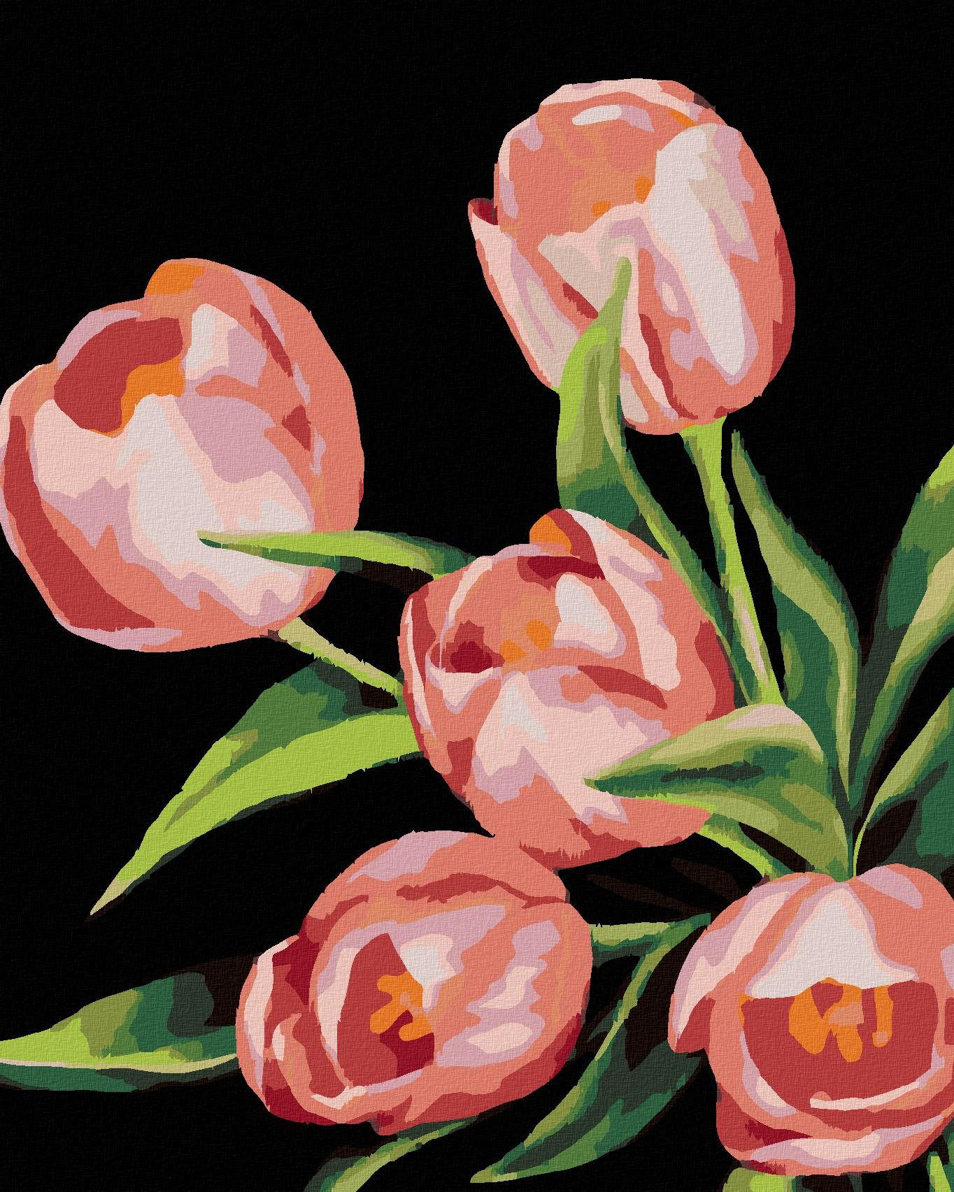 Zuty – Maľovanie Podľa Čísel – Ružové Tulipány (Myroslava Voloschuk), 40 × 50 cm, Plátno