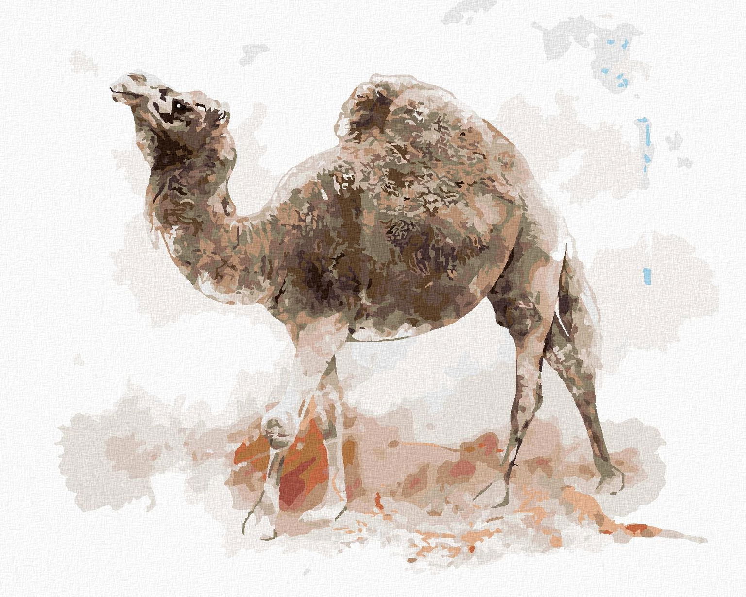 Zuty – Maľovanie Podľa Čísel – Ťava, 40 × 50 cm, Plátno