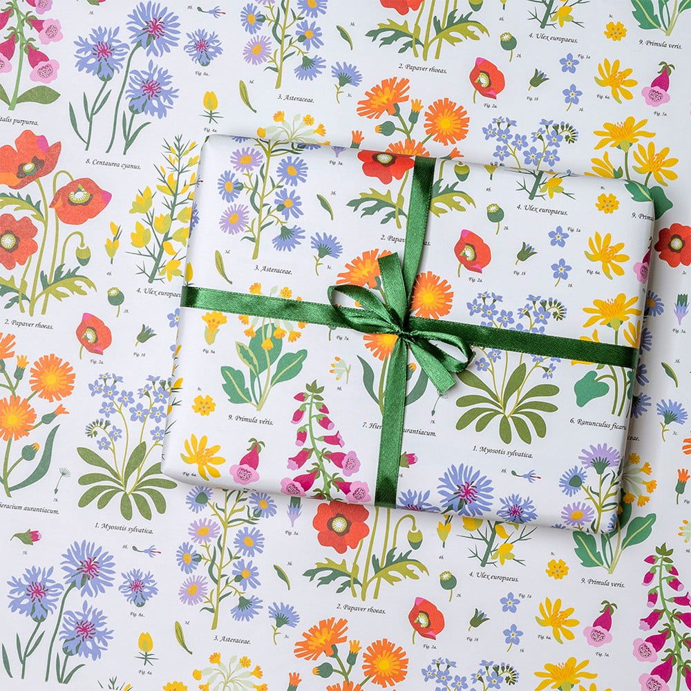 Baliace papiere v súprave 5 ks Wild Flowers – Rex London