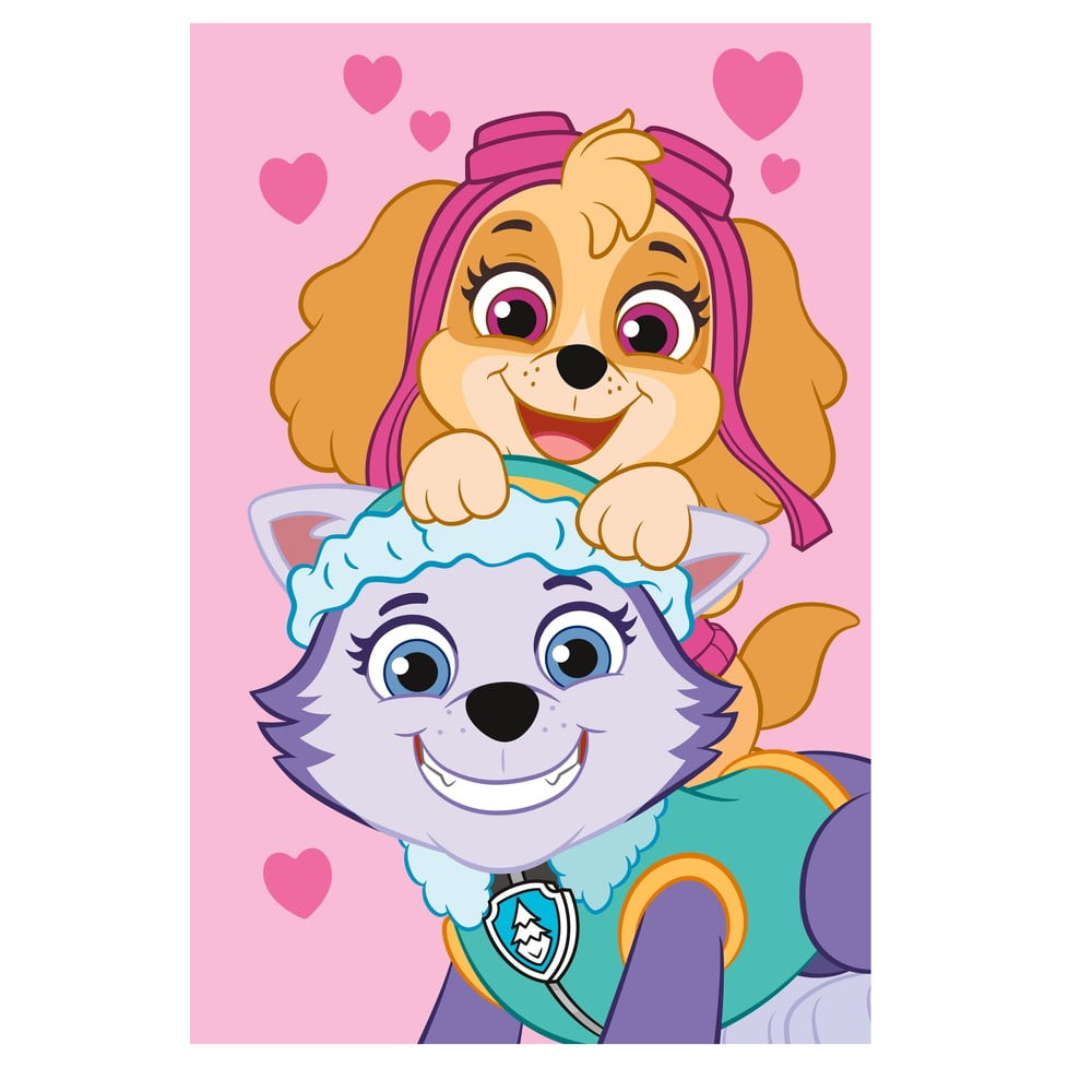 Fleecová detská deka 100x150 cm Paw Patrol – Jerry Fabrics