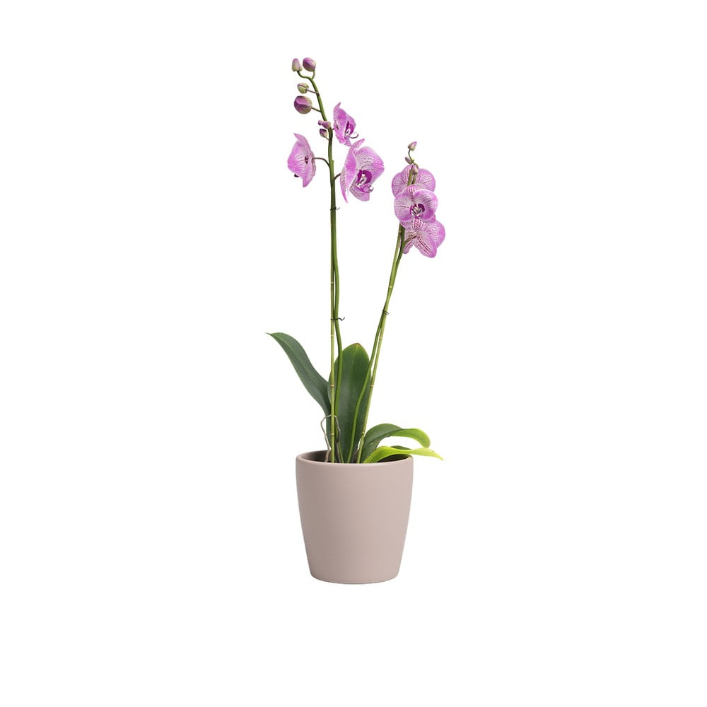 Keramický kvetináč ø 14 cm Thalia – Artevasi