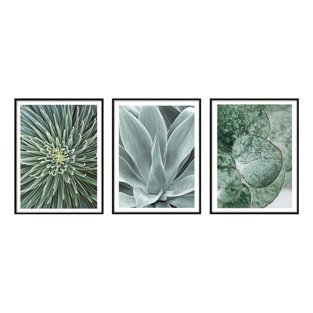 Obrazy v súprave 3 ks 30x40 cm – knor