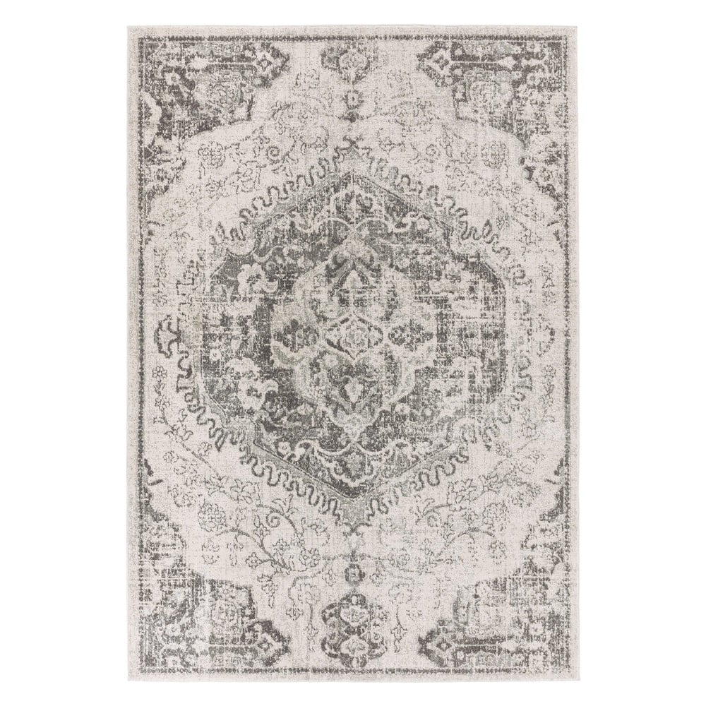 Sivo-krémový koberec 200x290 cm Nova – Asiatic Carpets