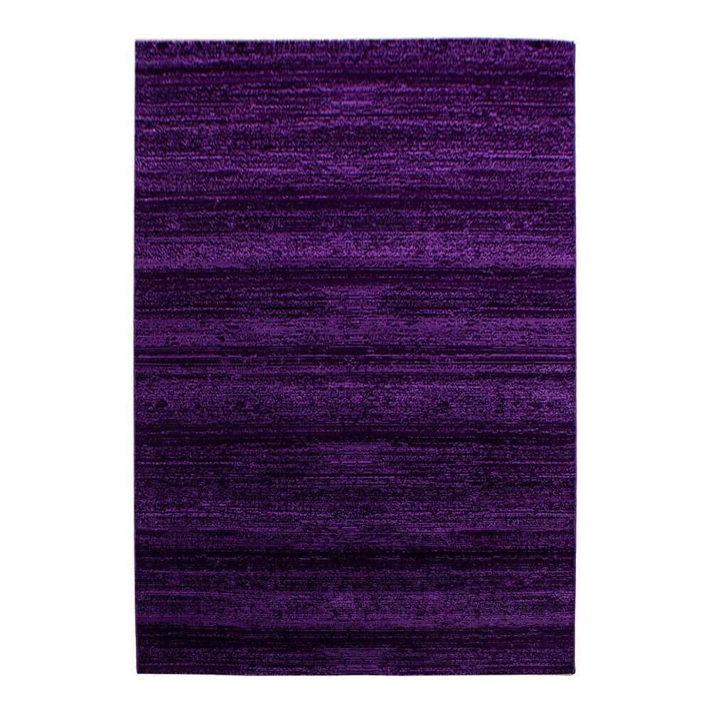 Tmavofialový koberec 80x150 cm Plus – Ayyildiz Carpets