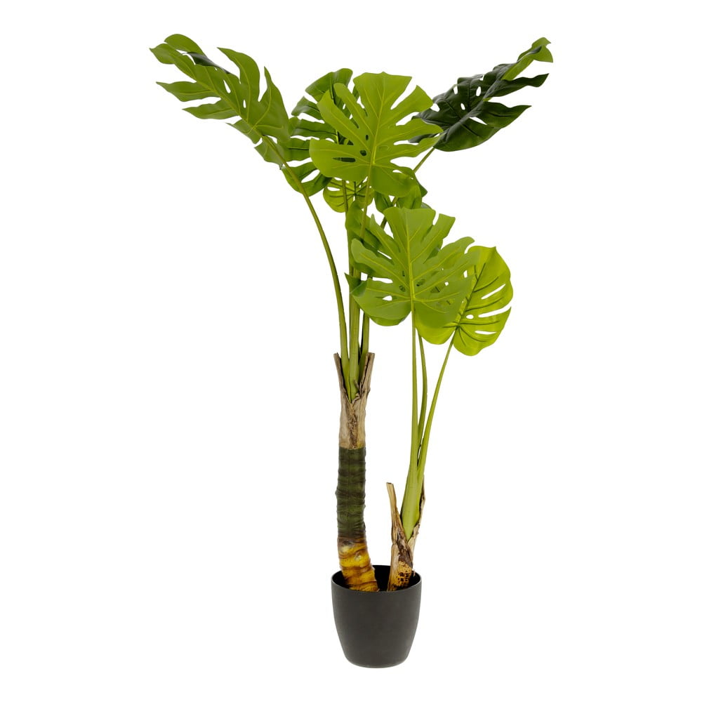 Umelá monstera (výška 130 cm) – Kave Home