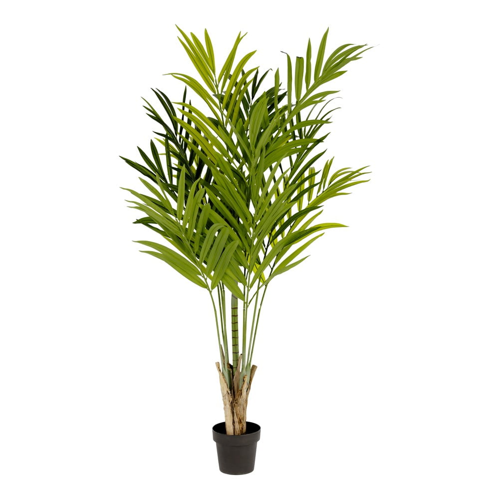 Umelý bambus (výška  170 cm) – Kave Home