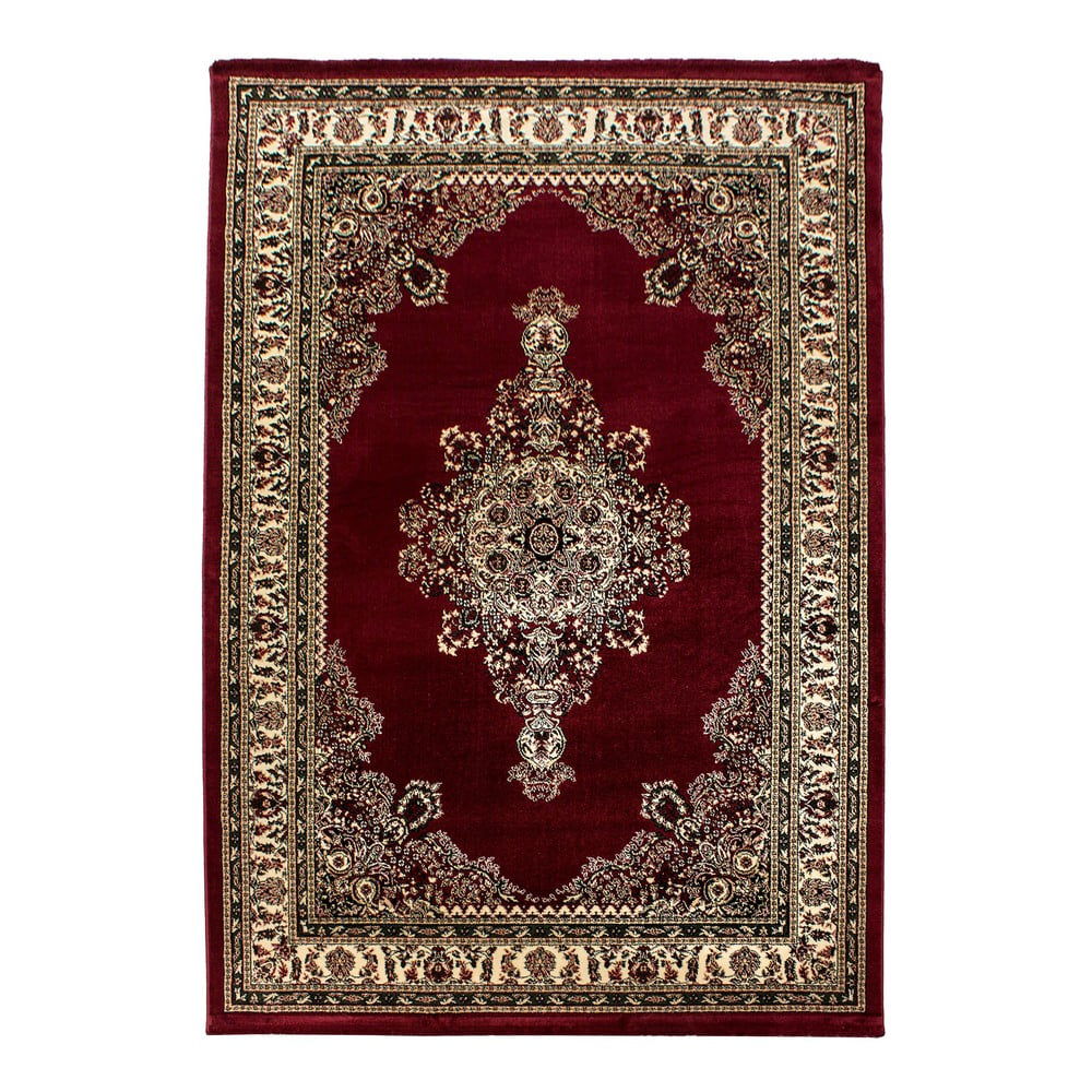 Vínový koberec 240x340 cm Marrakesh – Ayyildiz Carpets