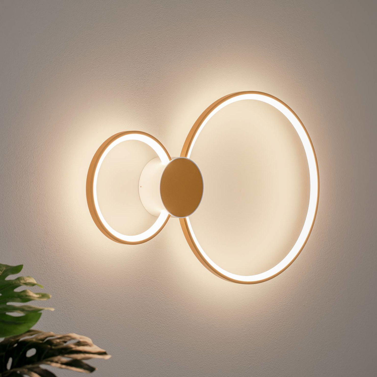 BEGA LED nástenné svietidlo 51298.4 , zamatová mosadz, kov, DALI – obrázok 2