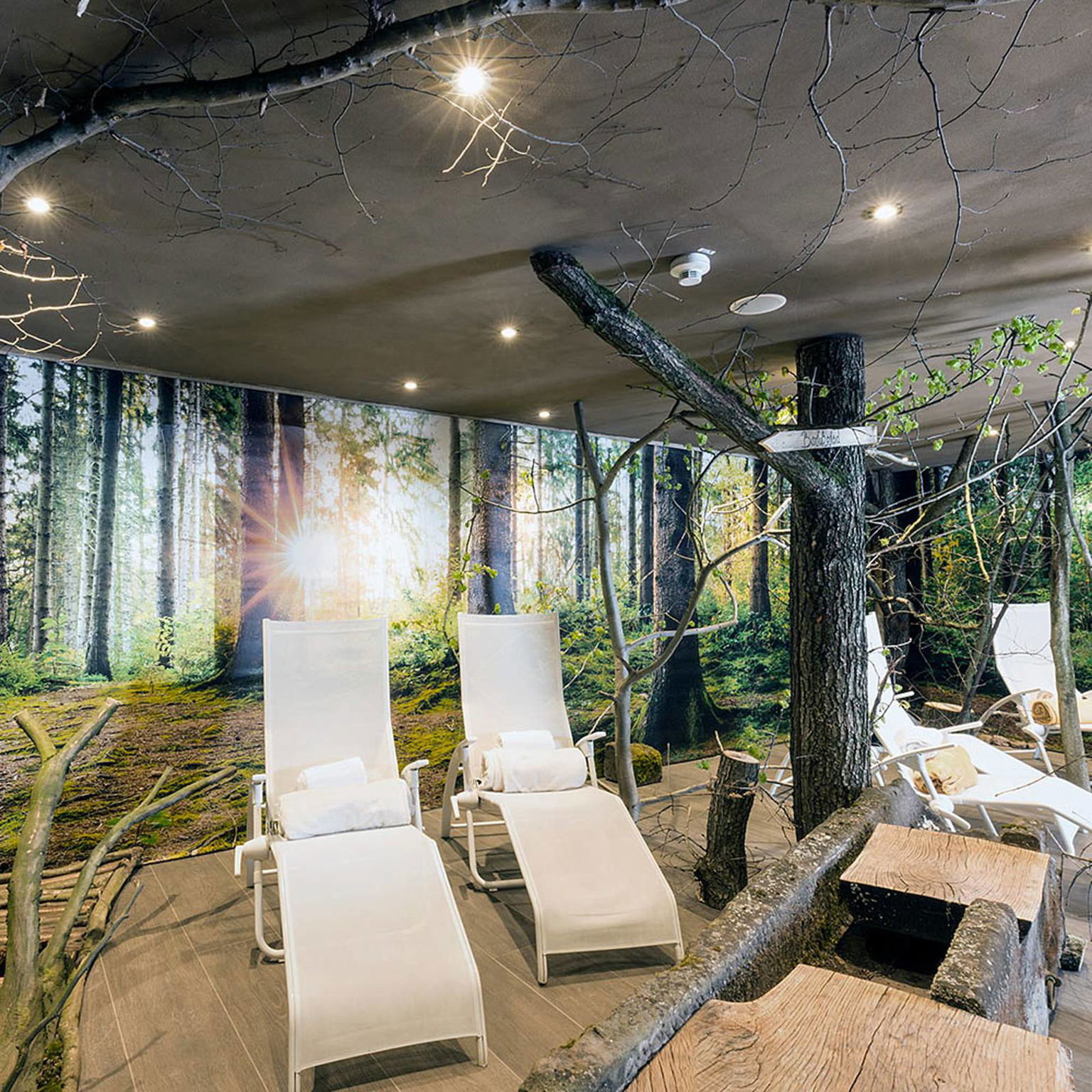 DOTLUX MULTIsun LED svietidlá, okrúhle antracitová