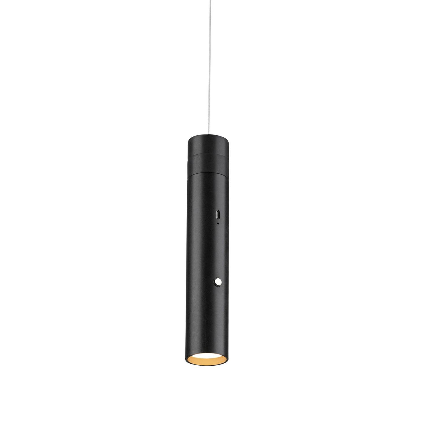 JUST LIGHT. LED závesné svietidlo Attach, čierne, železo – obrázok 4