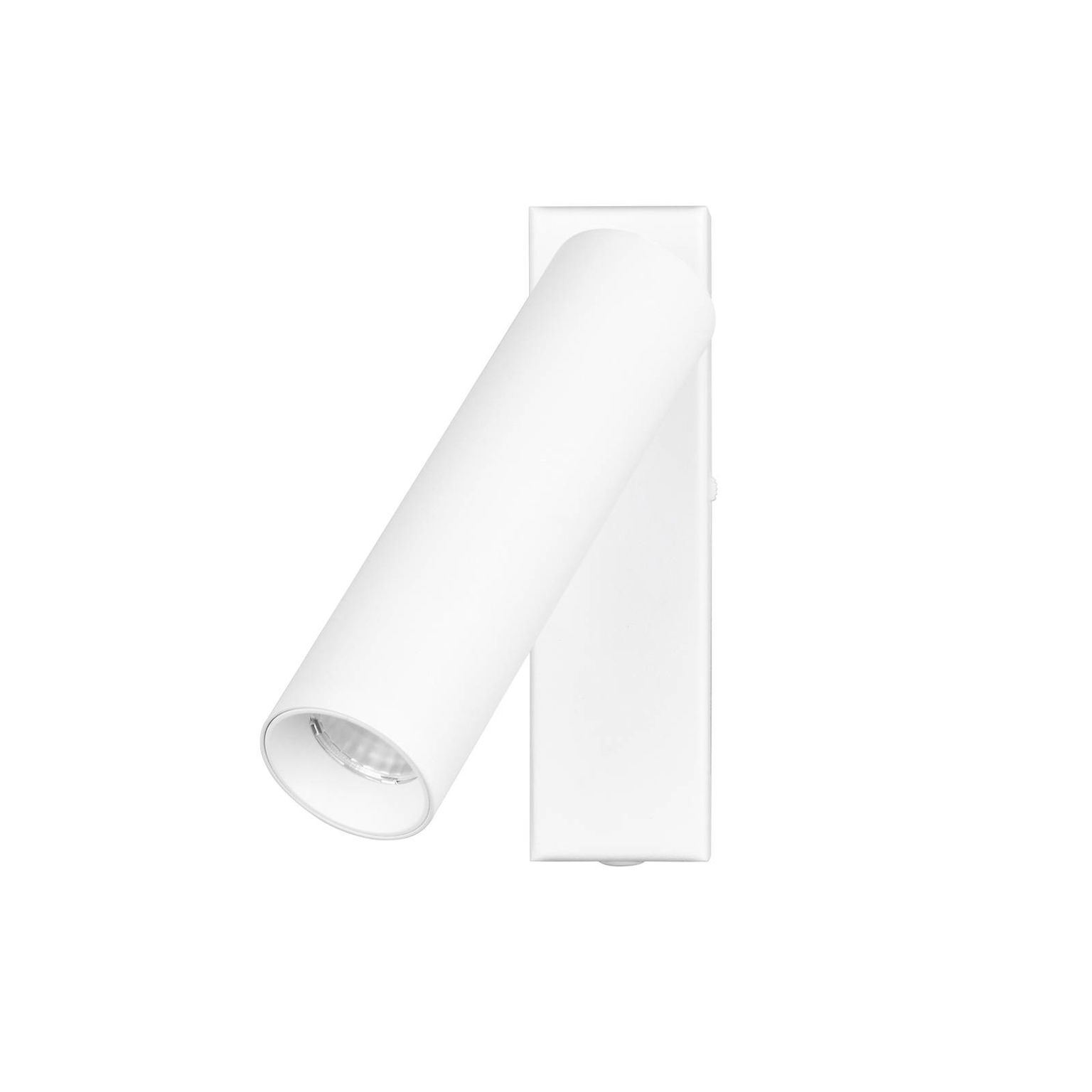 LED stropný reflektor Ambala, 1 svetlo, biely, kov, CCT, stmievateľný – obrázok 6