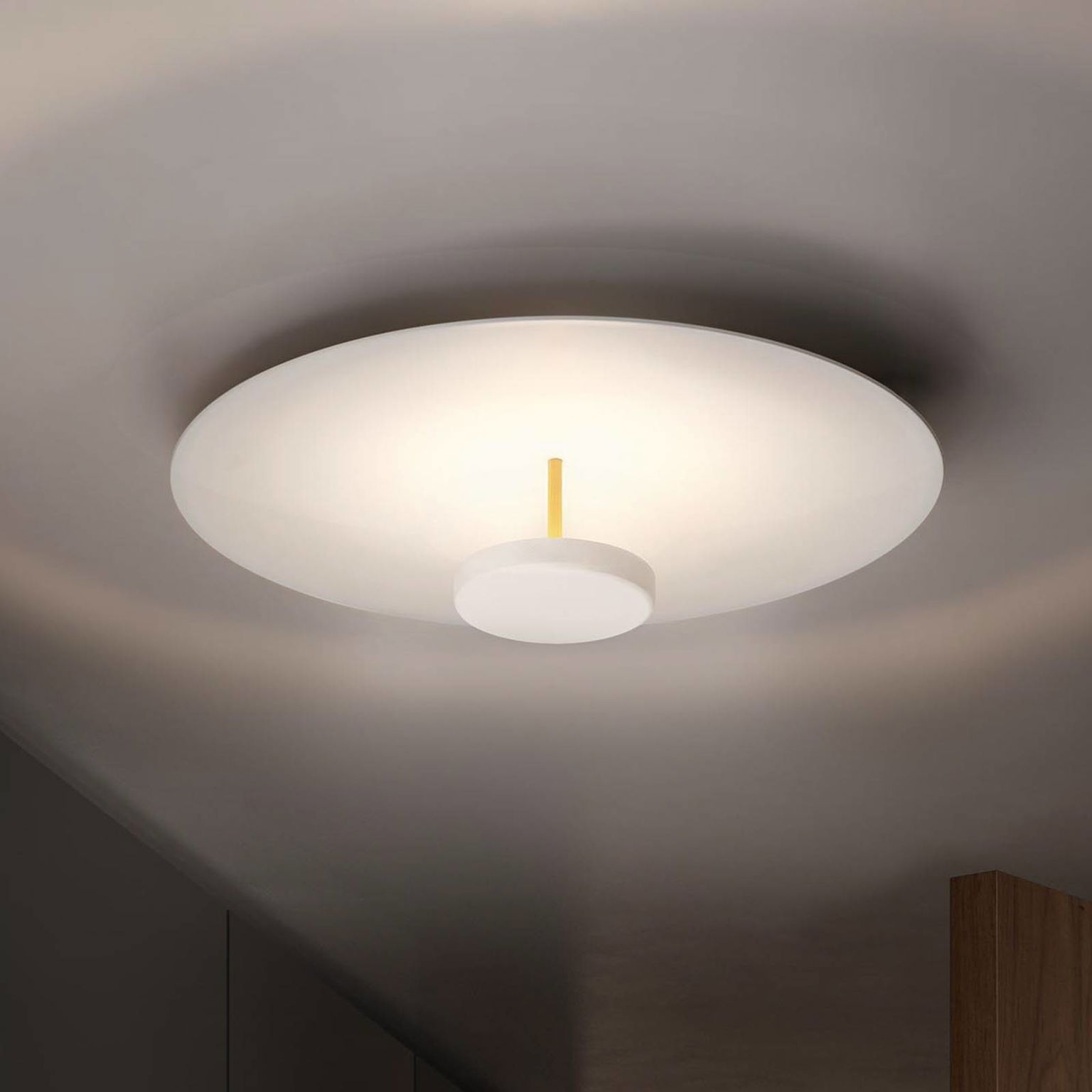 OLEV Overfly Plus LED stropné svietidlo biele Ø 75cm