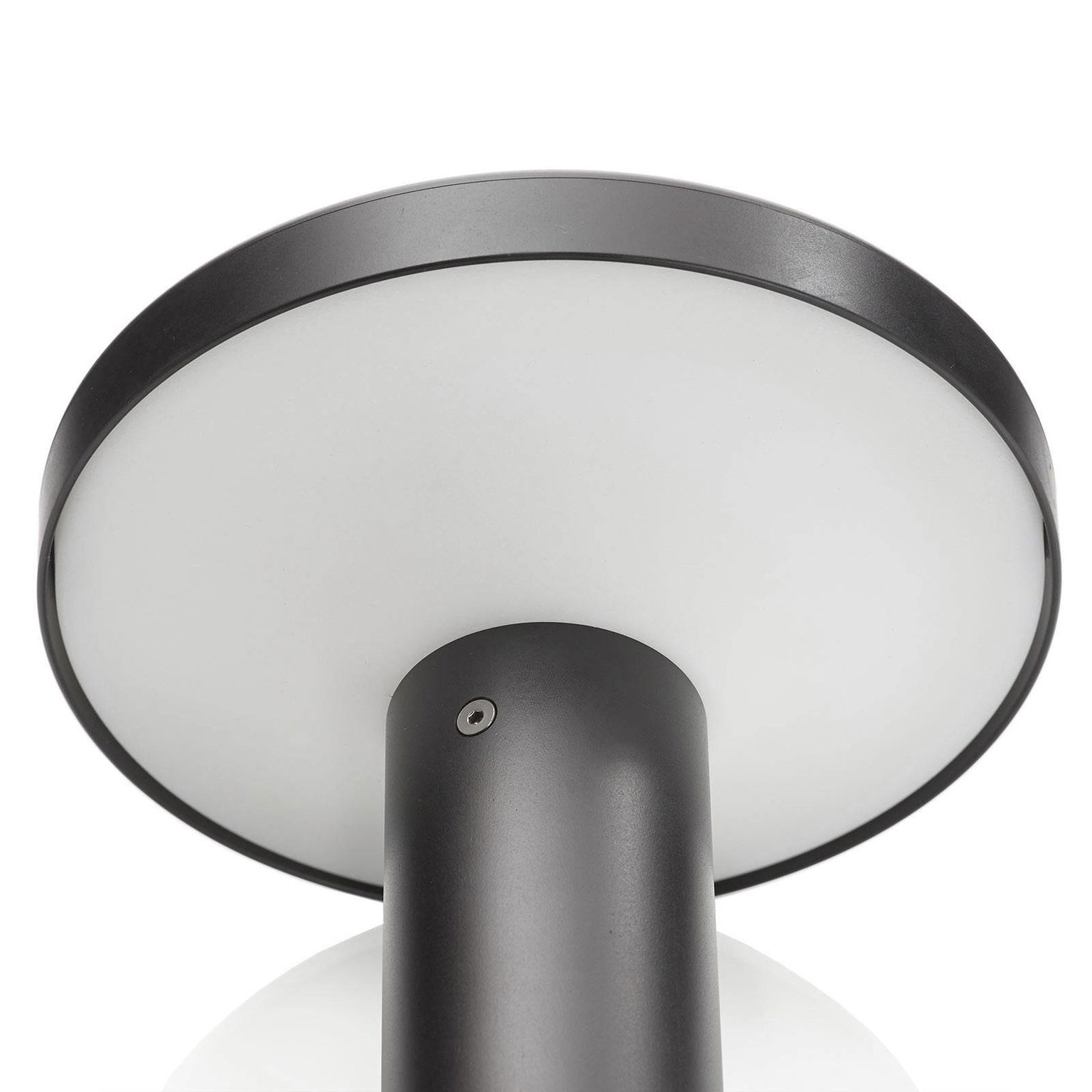 Soklové LED svietidlo MyWhite_Bond – 20,4 cm – obrázok 5