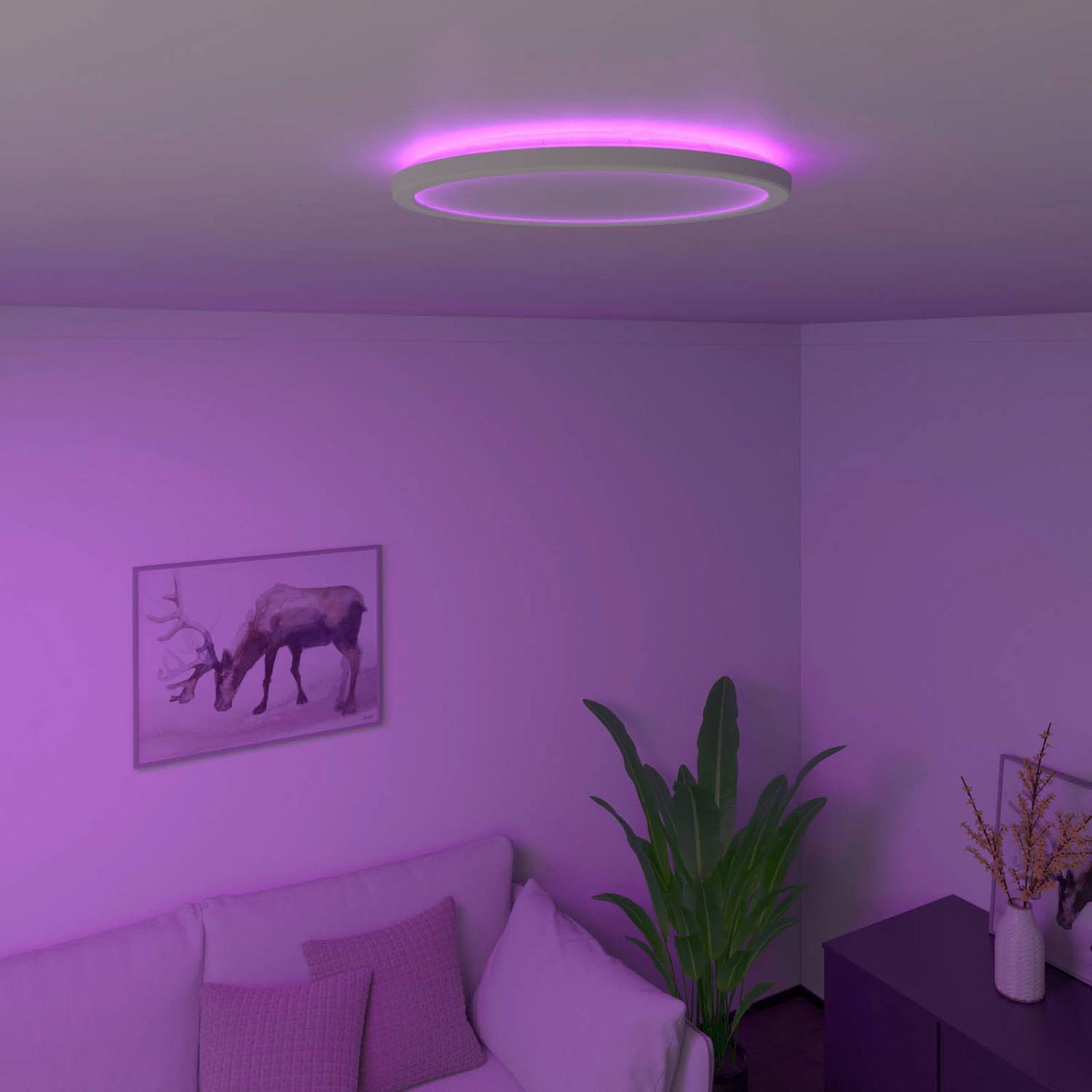 Stropné svietidlo Calex Smart Halo LED, Ø 29,2 cm