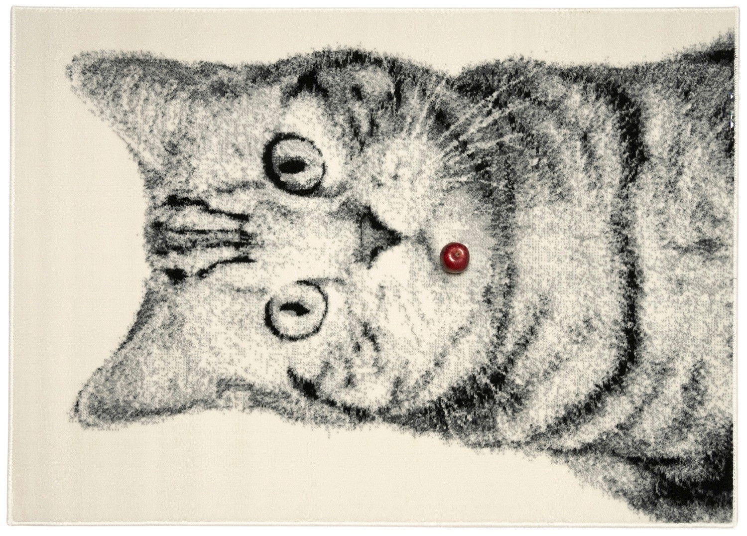 Kusový koberec Cat grey, 190x280, šedá, detská izba, Alfa Carpets – obrázok 3