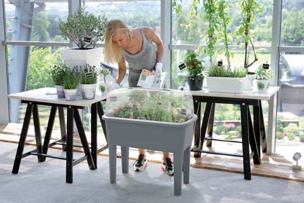 Plastové parenisko na nožičkách DREP770 77 cm - antracit – obrázok 3