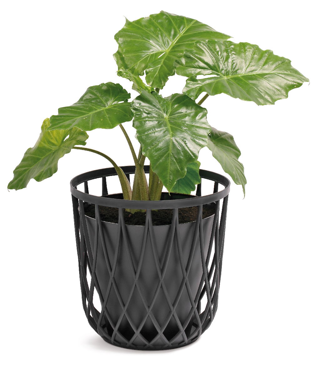 Plastový univerzálny kôš IKUB35 35 l - biela – obrázok 3