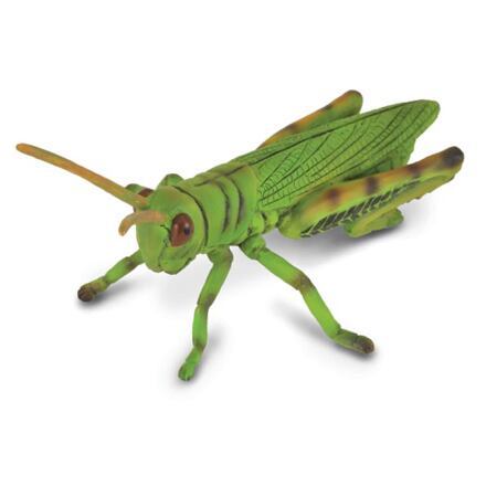 COLLECTA Kobylka zelená